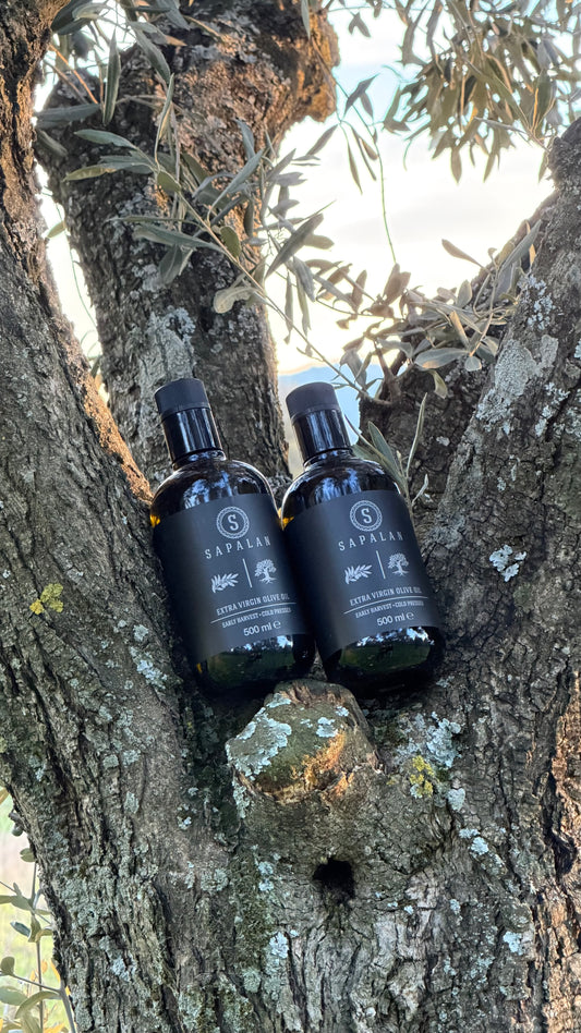 MEMECİK ERKEN HASAT SOĞUK SIKIM 500 ML