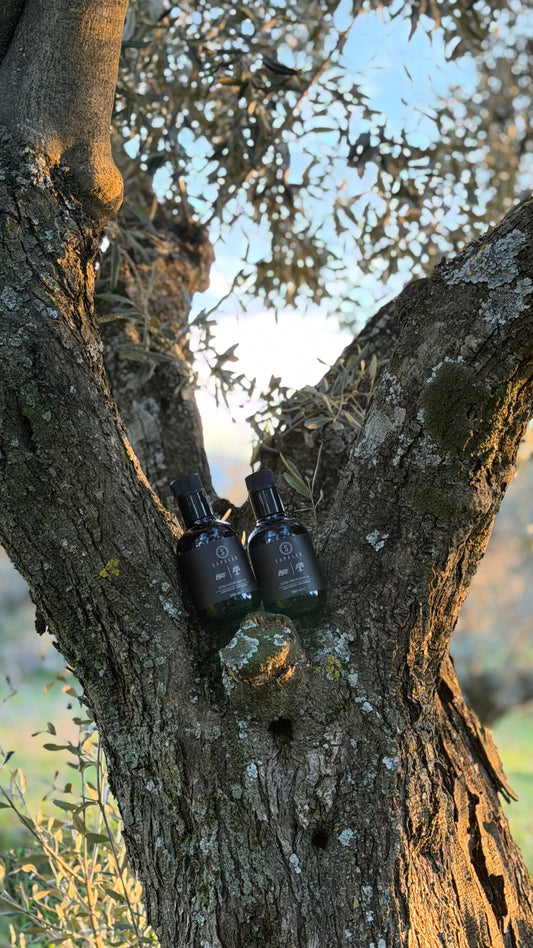 MEMECİK ERKEN HASAT SOĞUK SIKIM 250 ML