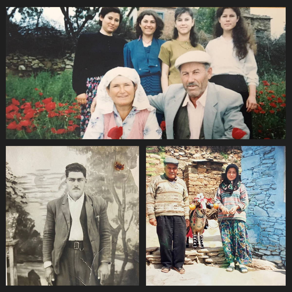Nesiller Boyu Aktarılan Çiftçilik Tecrübesiyle Aydın Memecik Zeytin Bahçeleri