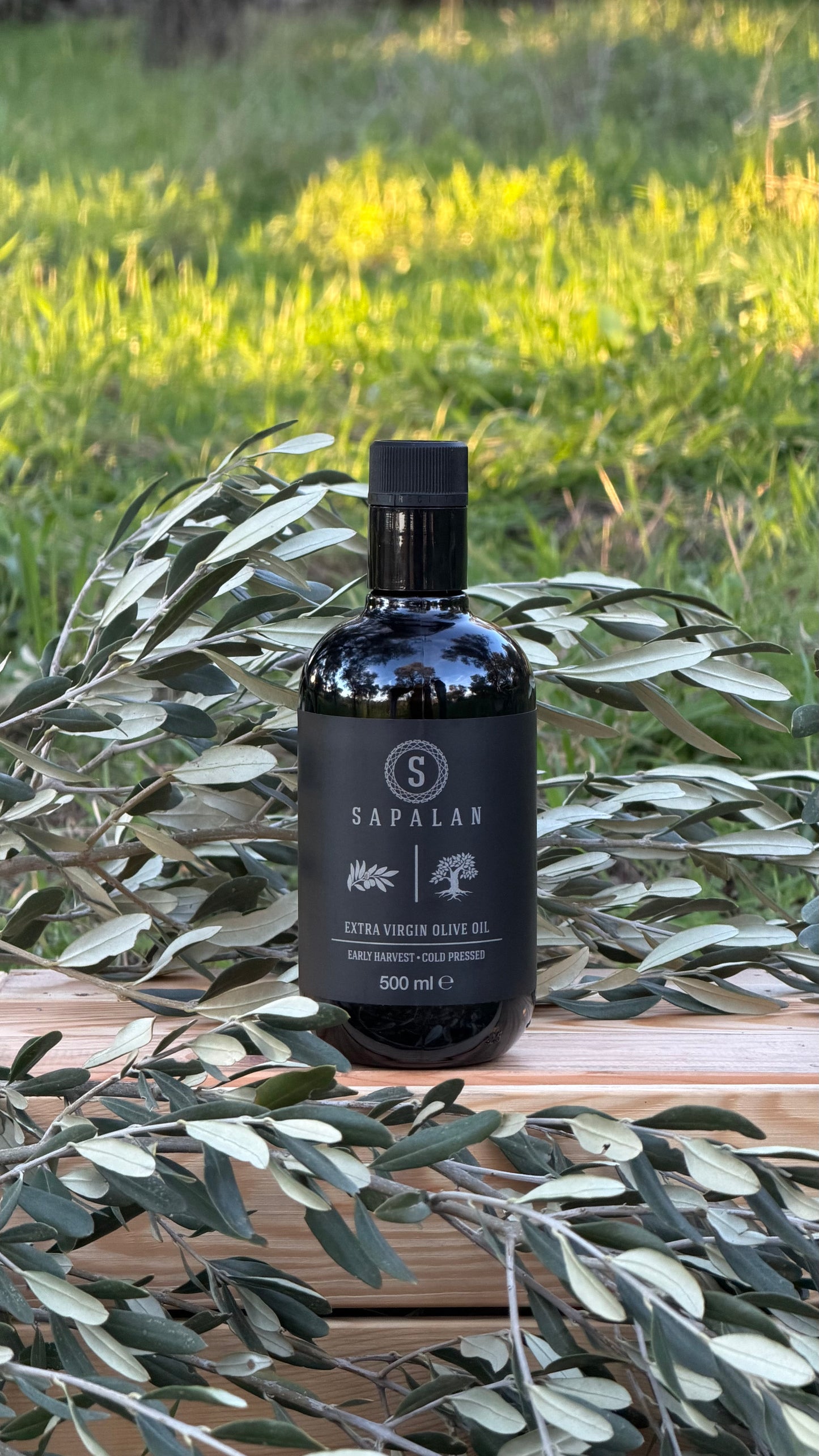 Sapalan Erken Hasat Soğuk Sıkım Naturel Sızma Zeytinyağı 500 ML