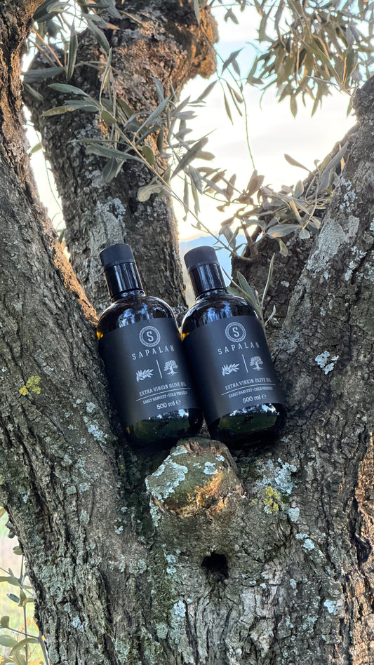 Sapalan 4 Adet 500 ml Avantajlı Paket Erken Hasat Soğuk Sıkım Zeytinyağı