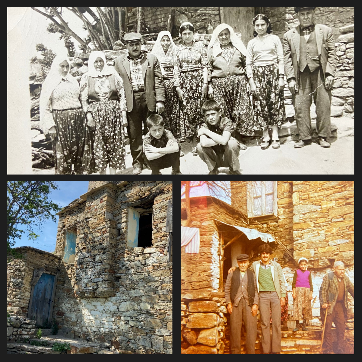 Aydın Dağlarında Geleneksel Yörük Kültürüyle Yetişen Asırlık Memecik Zeytin Ağaçları