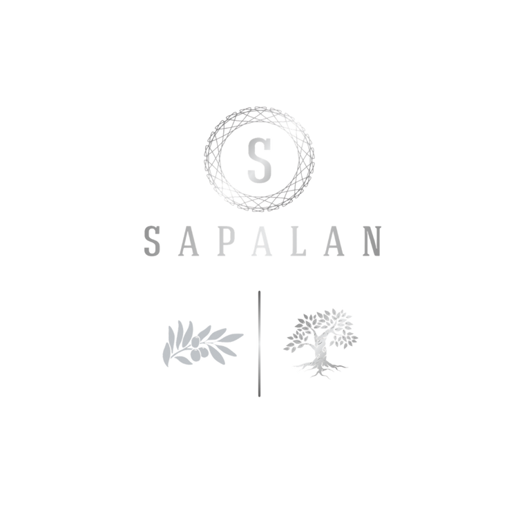 Sapalan Premium Tasarım Mat Siyah Teneke ve Gümüş Varak Baskılı Zeytinyağı Ambalajı