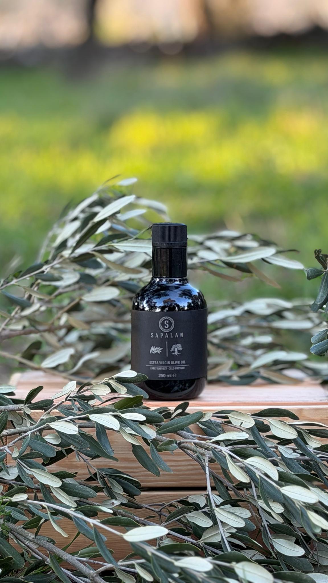 Sapalan Erken Hasat Soğuk Sıkım Naturel Sızma Zeytinyağı  250 ML