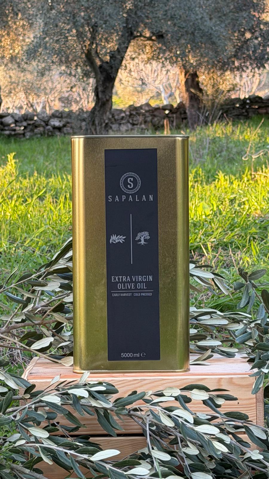 Sapalan 5 Litre Erken Hasat Soğuk Sıkım Aydın Memecik Zeytinyağı Teneke